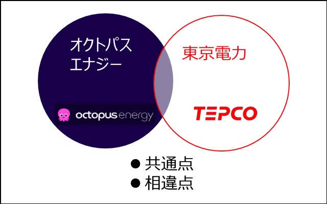 オクトパスエナジーと東京電力の共通点と相違点