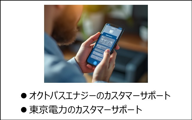 オクトパスエナジーと東京電力のカスタマーサポートの比較