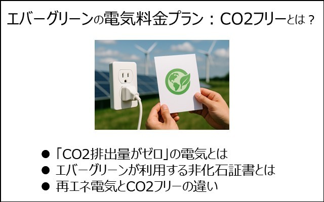 エバーグリーンの電気料金プラン:CO2フリープラン)の概要
