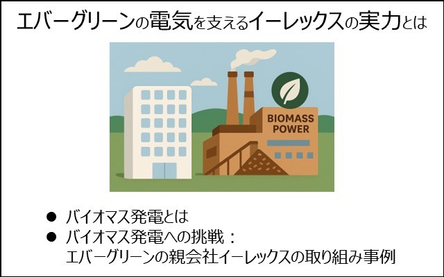エバーグリーンの電気を支える親会社であるイーレックスの実力を紹介