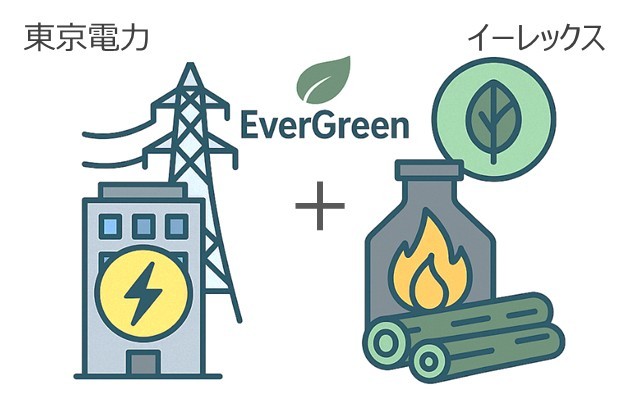 エバーグリーンは、大手電力会社である東京電力と、バイオマス発電の先駆的企業であるイーレックスとの共同出資会社