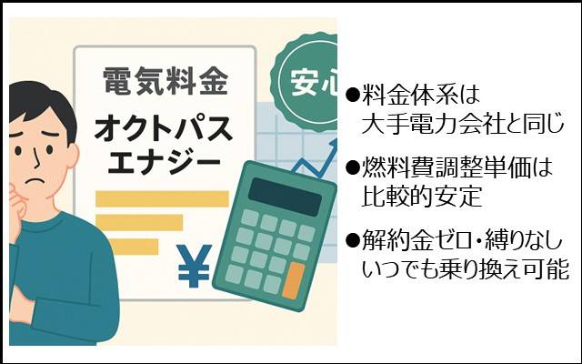 オクトパスエナジーの料金は高くならない？怪しくない？