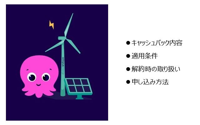 サイト de オクトパス割Ver.2とは